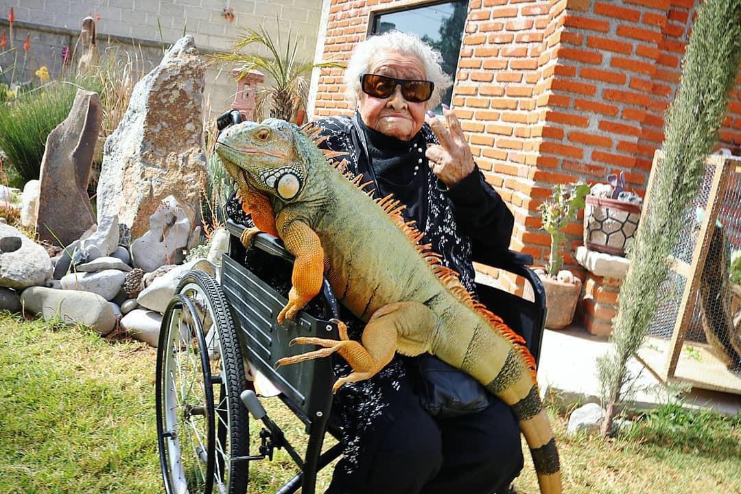 old woman with her huge iguana