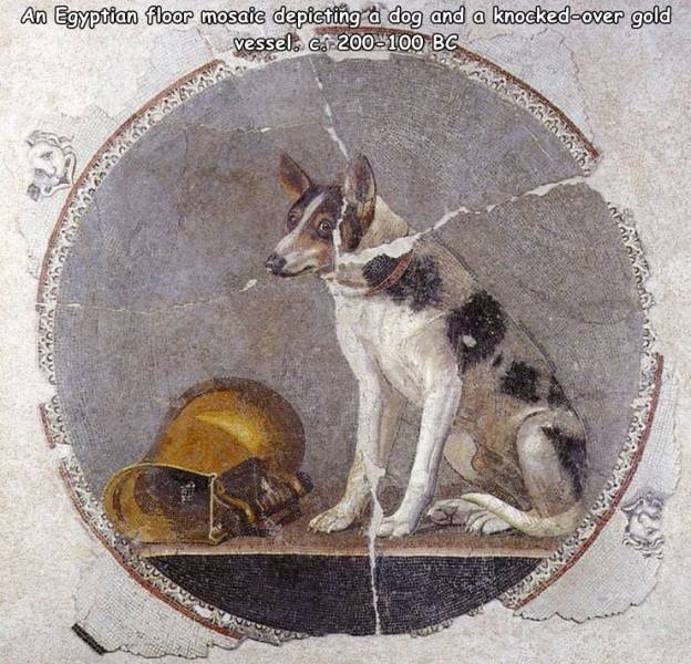 dog mosaic alexandria - and in his An Egyptian floor mosaic depicting a dog and a knockedover gold vessel.