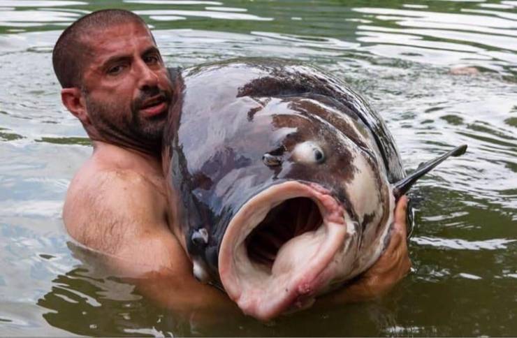 man holding enormous fish he pulled out of the water