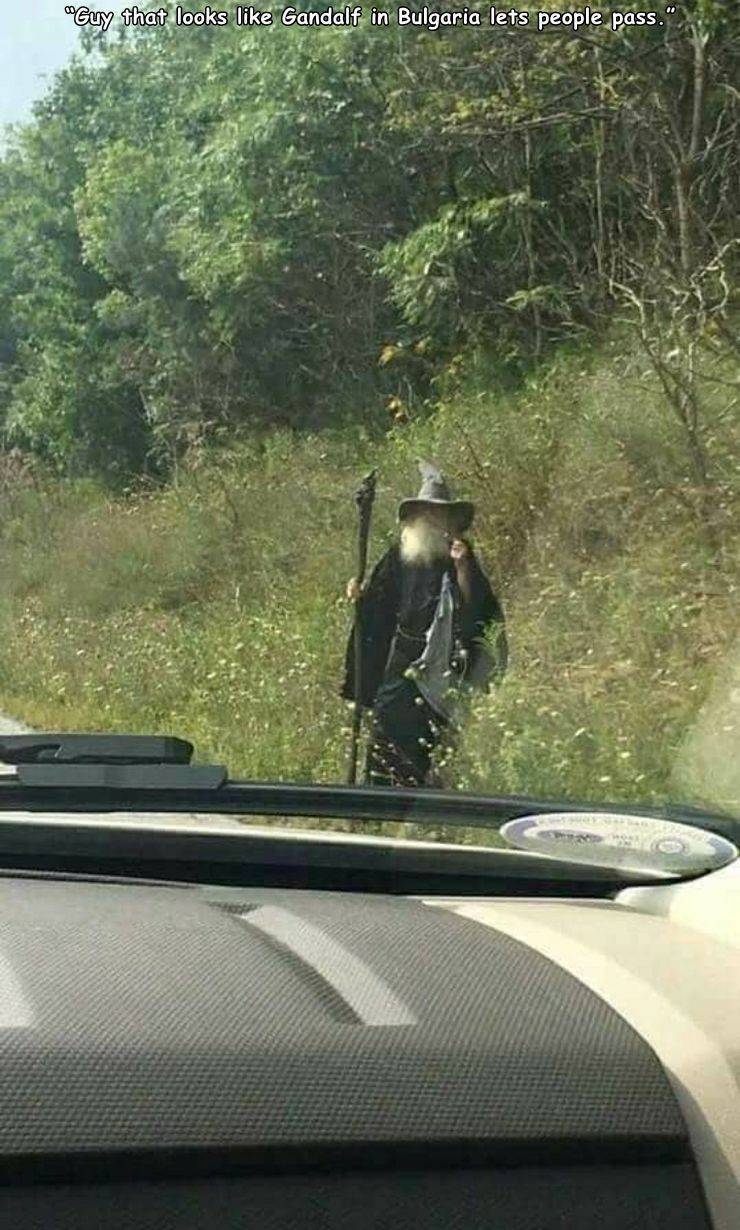 hitchhiker meme old wizard gandalf
