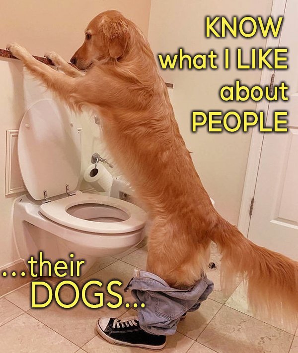 photo caption - Know what I about People ...their Dogs...