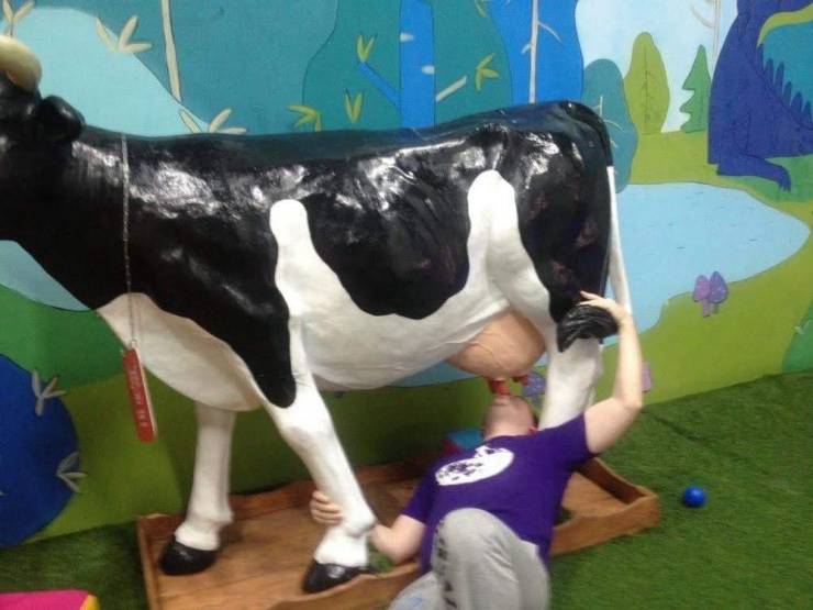 wtf pics - dairy cow