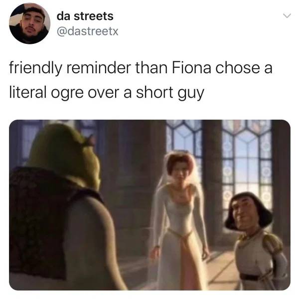 short memes - da streets friendly reminder than Fiona chose a literal ogre over a short guy