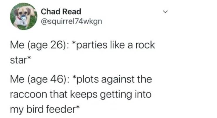 paper - Chad Read Me age 26 parties a rock star Me age 46 plots against the raccoon that keeps getting into my bird feeder