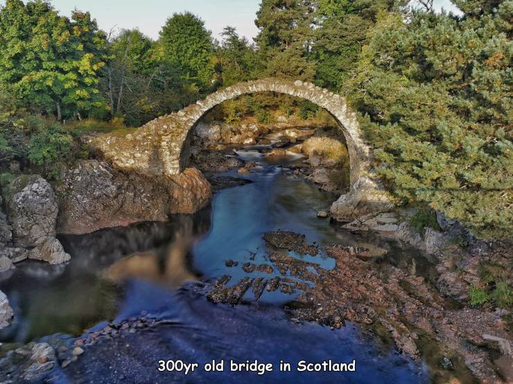 random pics - nature reserve - 300yr old bridge in Scotland