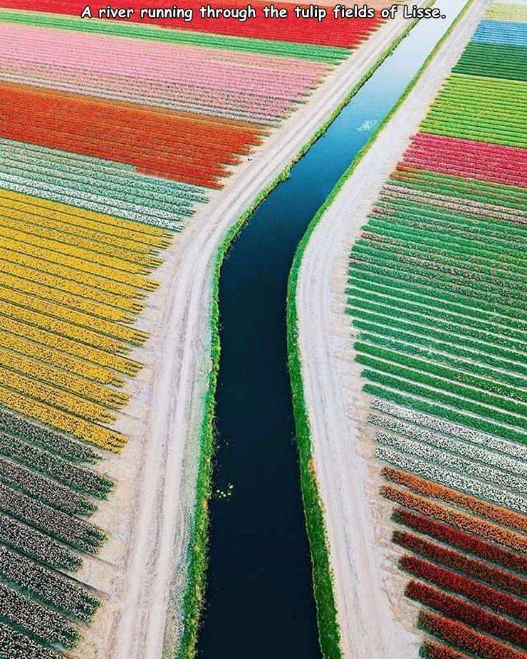 random pics - Lisse - A river running through the tulip fields of Lisse.