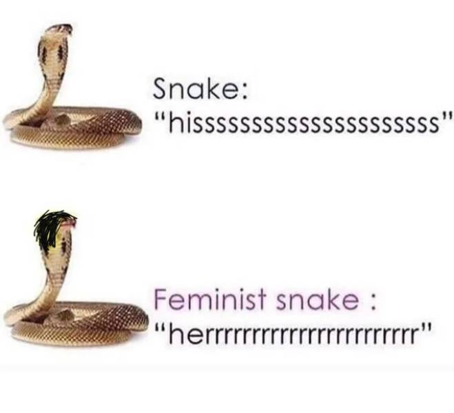 feminist snake - Snake "hissSsSSSSSSSSSSSSSSSSS" Feminist snake "herrrrrrrrrrrrrrrrrrrrrrr