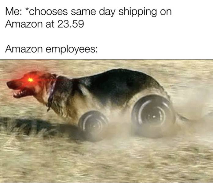 very fast doggo - Me chooses same day shipping on Amazon at 23.59 Amazon employees