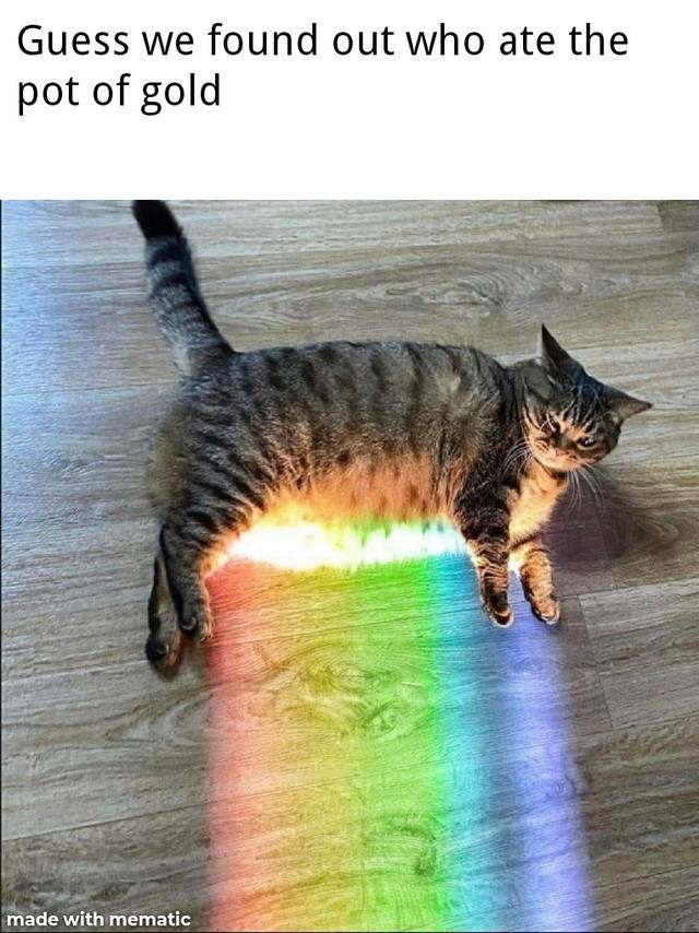 holy fluff - Guess we found out who ate the pot of gold made with mematic