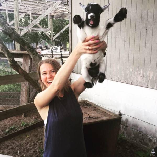 happy baby goat