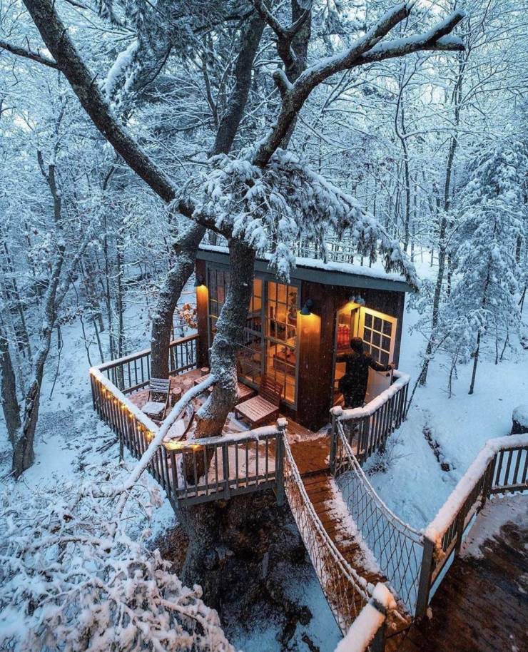 fairytale treehouse