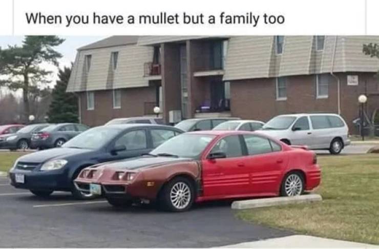 funny memes - grand am trans am - When you have a mullet but a family too