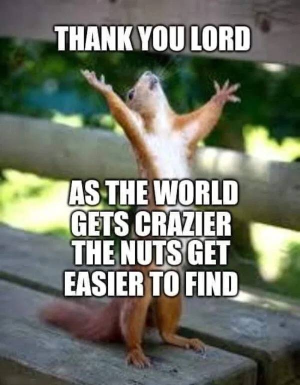 funny memes - today seems like a good day - Thank You Lord As The World Gets Crazier The Nuts Get Easier To Find