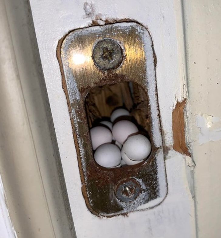 “Eggs in the cabana bathroom door lock”
