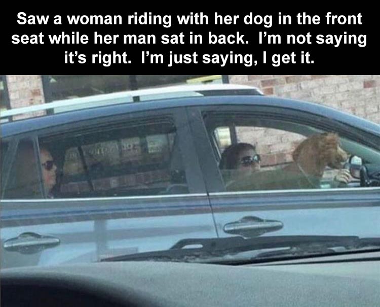 dog in front seat husband in back - Saw a woman riding with her dog in the front seat while her man sat in back. I'm not saying it's right. I'm just saying, I get it.