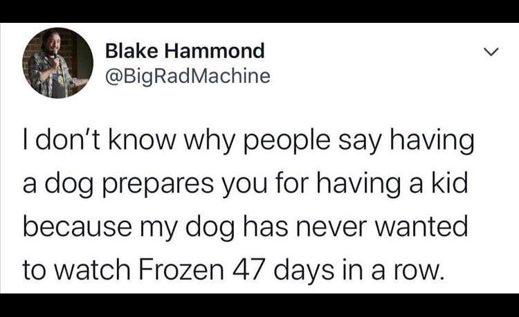 document - Blake Hammond I don't know why people say having a dog prepares you for having a kid because my dog has never wanted to watch Frozen 47 days in a row.