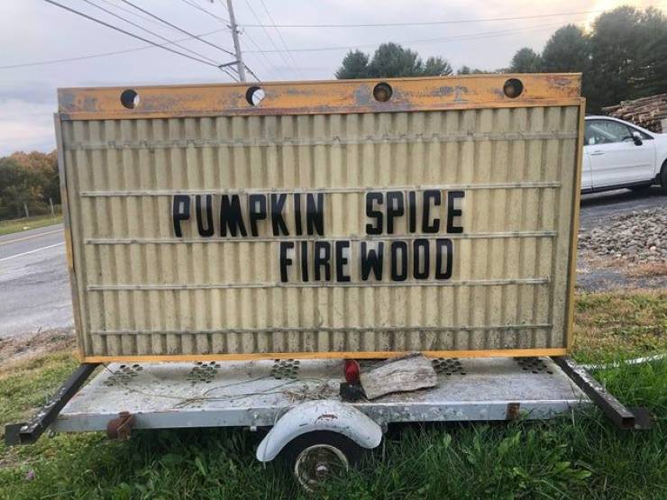 funny pics - pumpkin spiced firewood
