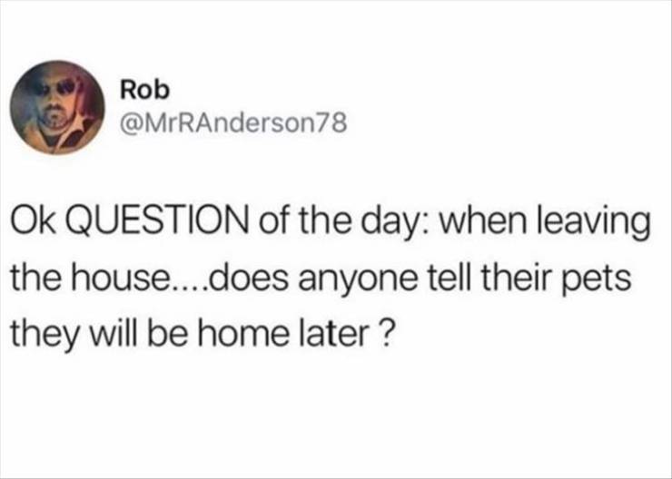 low on iron memes - Rob Ok Question of the day when leaving the house....does anyone tell their pets they will be home later?