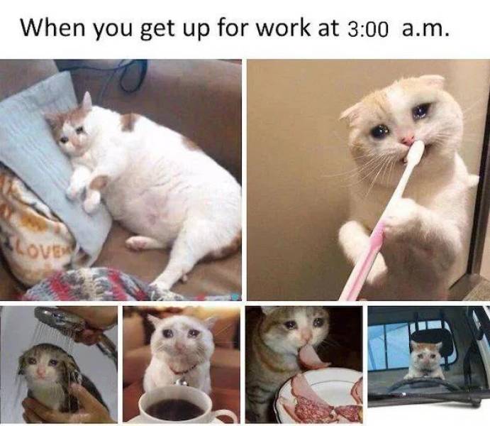 waking up for work meme - When you get up for work at a.m. I Love