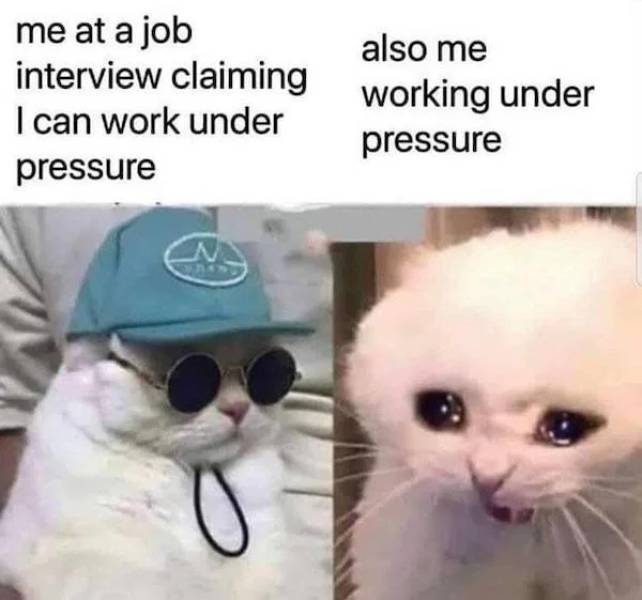 work memes 2020 - me at a job interview claiming I can work under pressure also me working under pressure