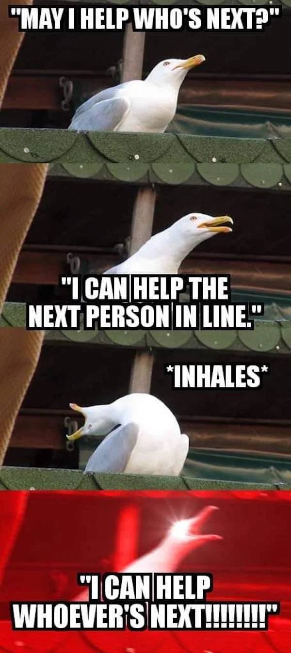 west virginia seagull meme - "May I Help Who'S Next?" "I Can Help The Next Person In Line." Inhales "I Can Help Whoever'S Next!!!!!!!!"