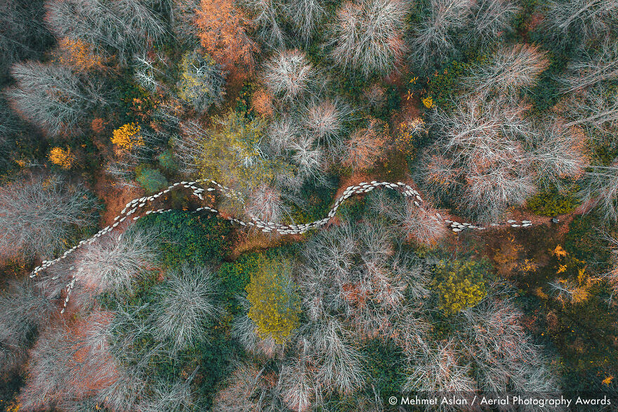 aerial photography awards - Aerial photography - Mehmet Aslan Aerial Photography Awards