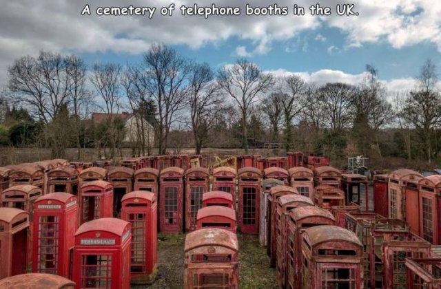 red telephone box graveyard - A cemetery of telephone booths in the Uk.