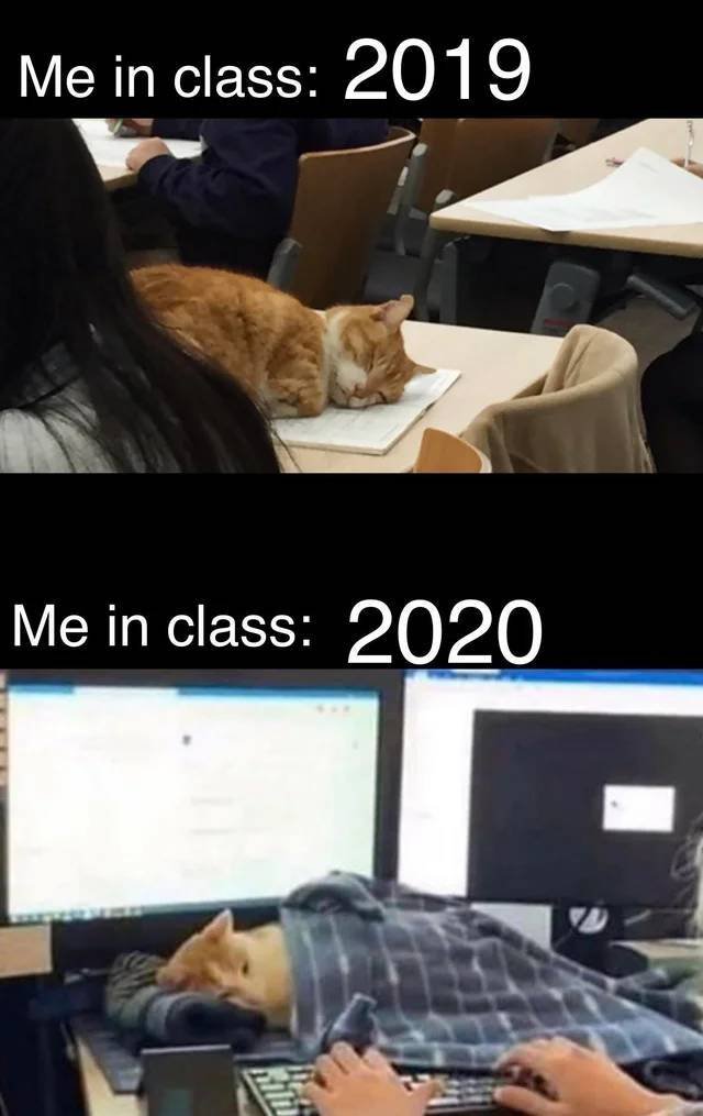 Cat - Me in class 2019 Me in class 2020 $130
