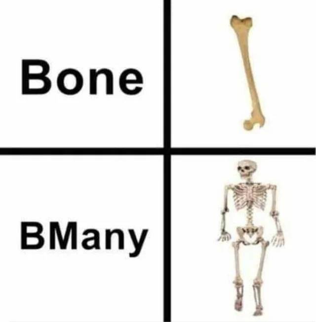 bone bmany - Bone BMany