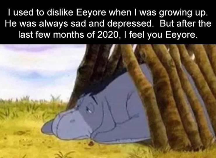 eeyore good morning - I used to dis Eeyore when I was growing up. He was always sad and depressed. But after the last few months of 2020, I feel you Eeyore.