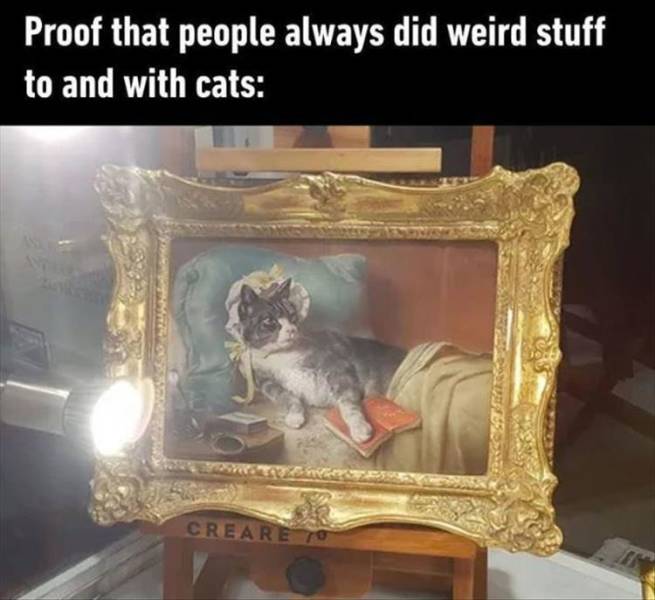 photo caption - Proof that people always did weird stuff to and with cats We Creare