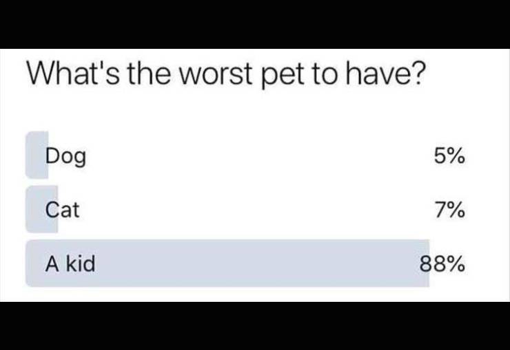 number - What's the worst pet to have? Dog 5% Cat 7% A kid 88%