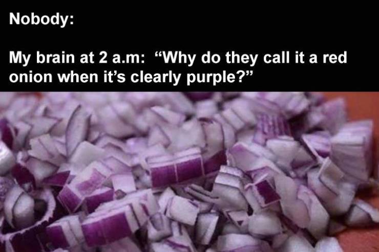 Nobody My brain at 2 a.m "Why do they call it a red onion when it's clearly purple?"