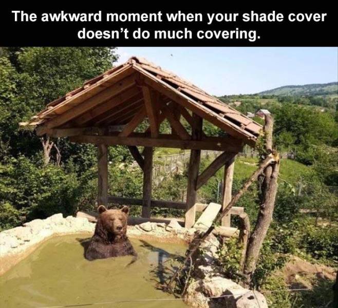 he's living his best life - The awkward moment when your shade cover doesn't do much covering.