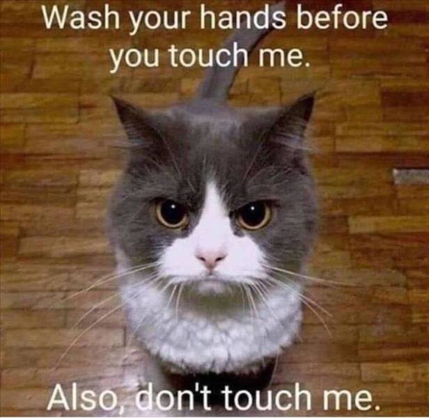 you will regret this meme - Wash your hands before you touch me Also, don't touch me