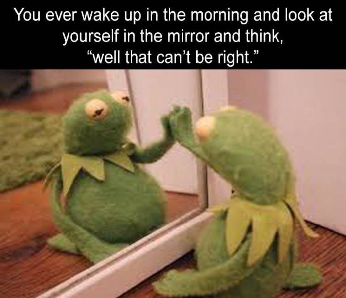 kermit reaction - You ever wake up in the morning and look at yourself in the mirror and think, "well that can't be right.