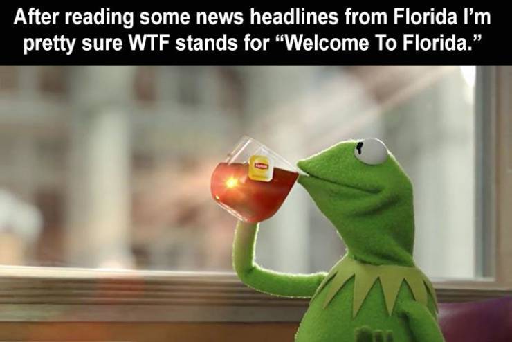 not muting your mic is the new reply all - After reading some news headlines from Florida I'm pretty sure Wtf stands for Welcome To Florida."