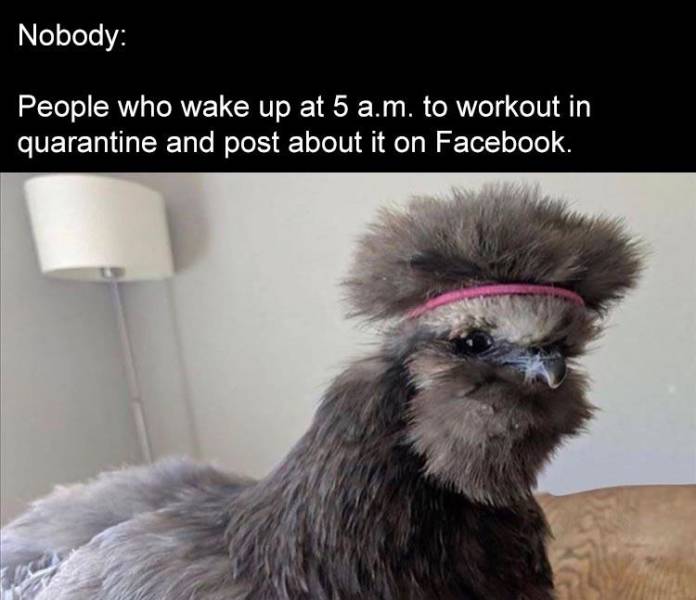 fauna - Nobody People who wake up at 5 a.m. to workout in quarantine and post about it on Facebook.