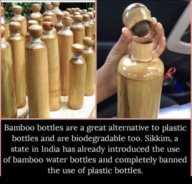 bamboo water bottle tripura - Bamboo bottles are a great alternative to plastic bottles and are biodegradable too. Sikkim, a state in India has already introduced the use of bamboo water bottles and completely banned the use of plastic bottles.