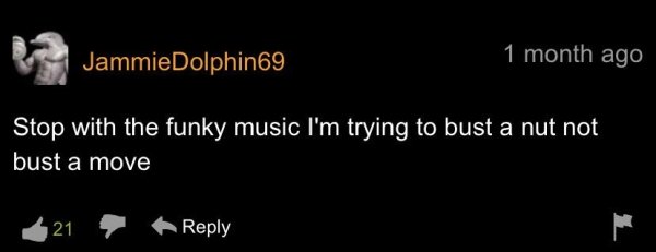 funny pornhub comments - JammieDolphin69 1 month ago Stop with the funky music I'm trying to bust a nut not bust a move 21