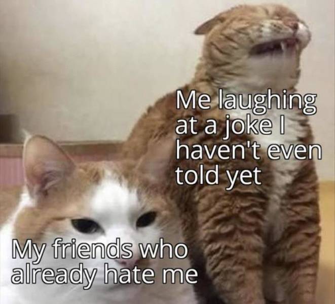 sagittarius memes - Me laughing at a joke, haven't even told yet My friends who already hate me