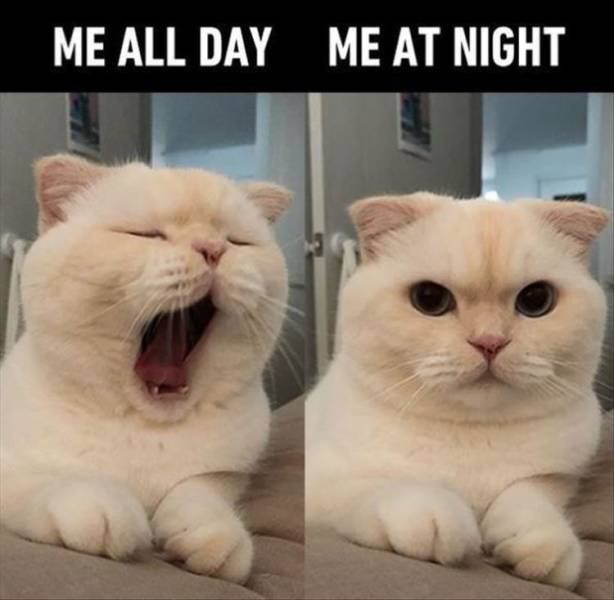 me all day me all night - Me All Day Me At Night