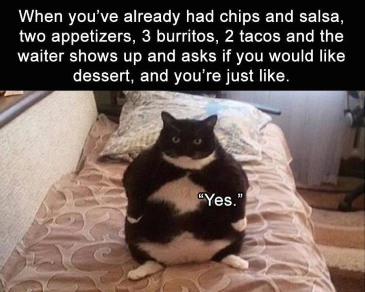 gaining weight meme - When you've already had chips and salsa, two appetizers, 3 burritos, 2 tacos and the waiter shows up and asks if you would dessert, and you're just . "Yes."