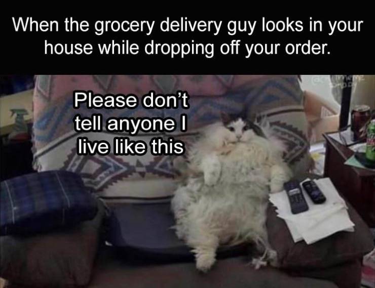 your friend comes over unannounced - When the grocery delivery guy looks in your house while dropping off your order. Wisme Orde Please don't tell anyone live this