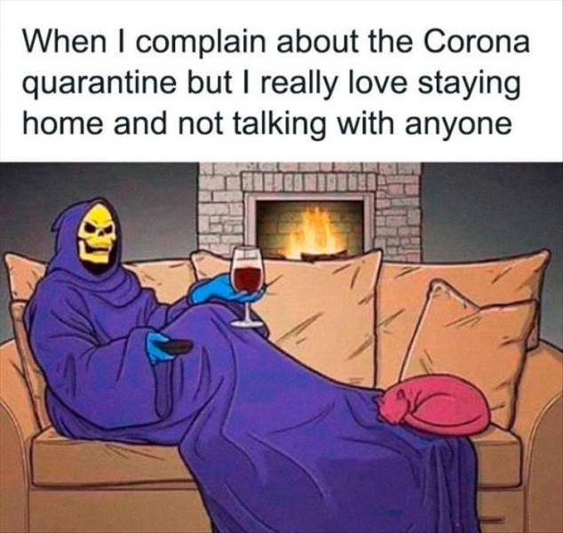 introvert funny - When I complain about the Corona quarantine but I really love staying home and not talking with anyone