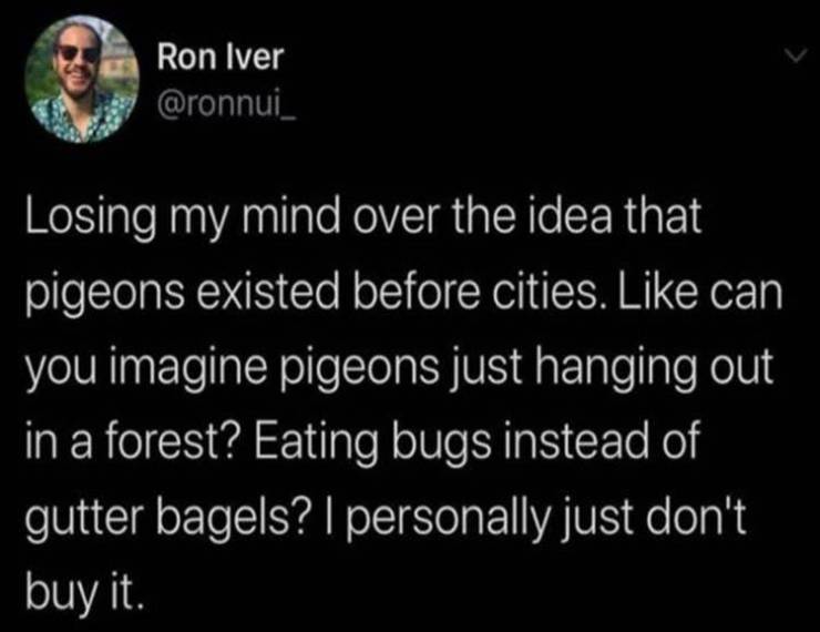 lebron james nudes virus - Ron Iver Losing my mind over the idea that pigeons existed before cities. can you imagine pigeons just hanging out in a forest? Eating bugs instead of gutter bagels? I personally just don't buy it.