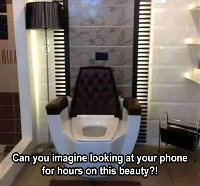 throne meme for bathroom - Can you imagine looking at your phone for hours on this beauty?!