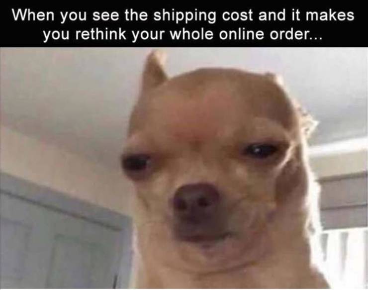dog - When you see the shipping cost and it makes you rethink your whole online order...
