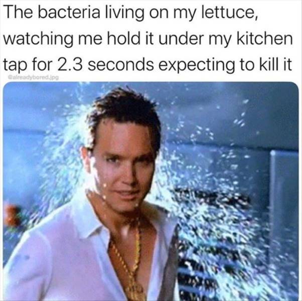 mark hoppus meme - The bacteria living on my lettuce, watching me hold it under my kitchen tap for 2.3 seconds expecting to kill it Calreadybered.jpg