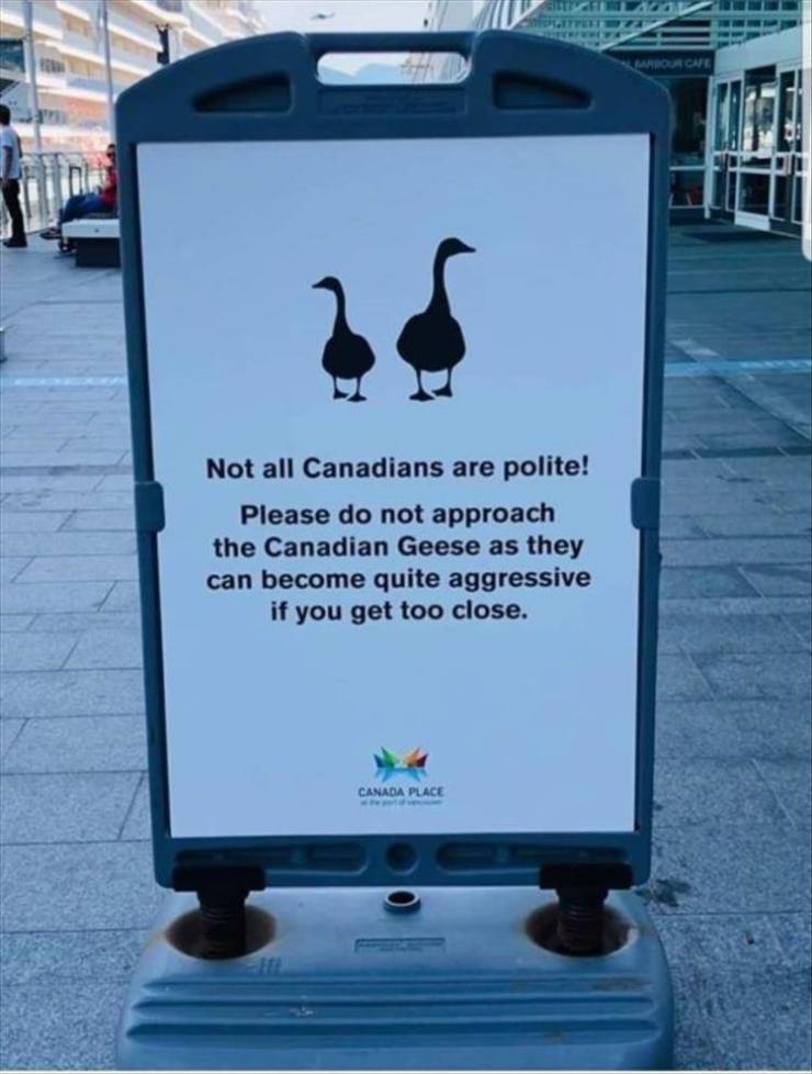 funny canada - Titter Leariour Care Not all Canadians are polite! Please do not approach the Canadian Geese as they can become quite aggressive if you get too close. Canada Place